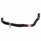 Radiator Coolant Hose - Passenger Main Image