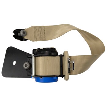 Seat Belt - Left, Rear