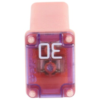 Fuse - 30 AMP, 32 Volt