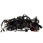 Wiring Main - Front, Passenger (Regular Cargo Van) Main Image