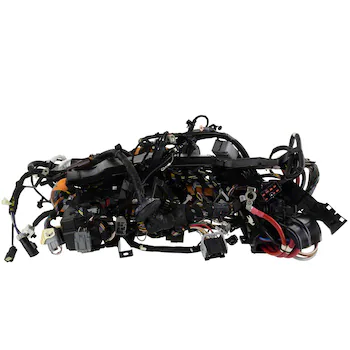 Wiring Main - Front, Passenger (Regular Cargo Van)