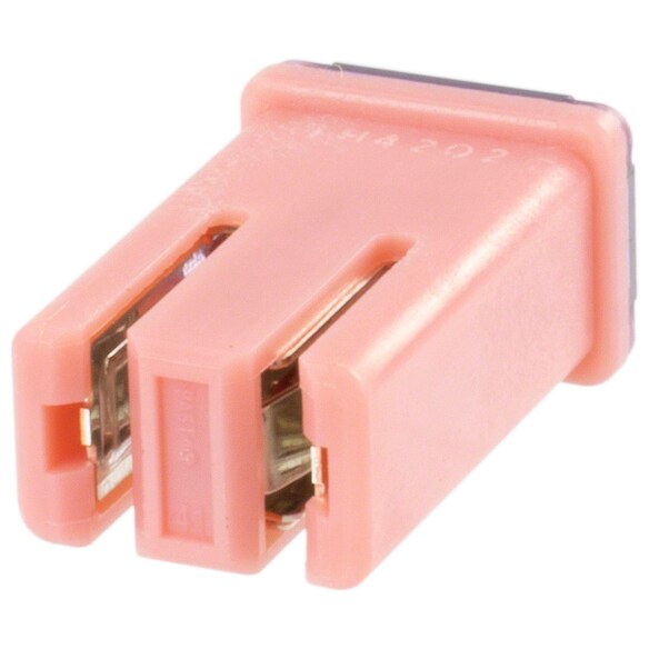 450183.jpg