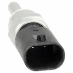 399184.jpg