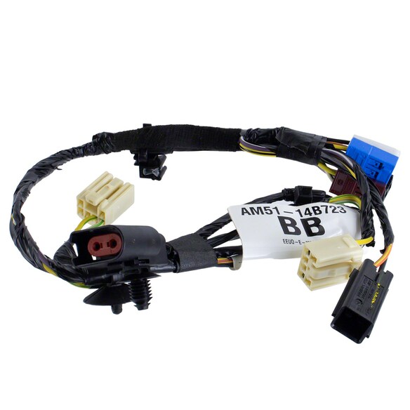 545186.jpg