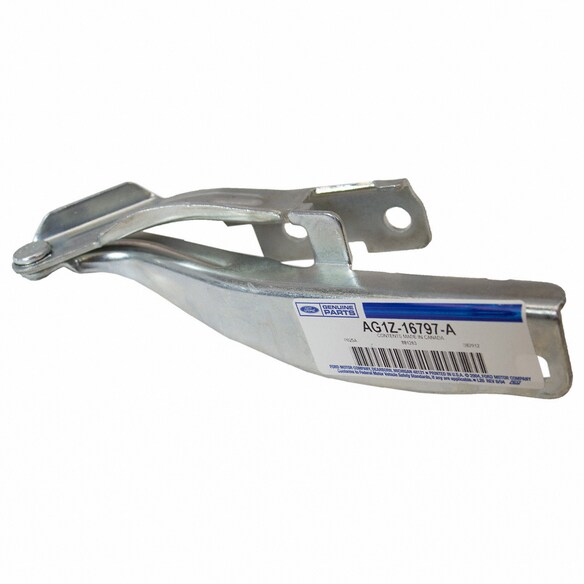 Hood Hinge - Left Main Image