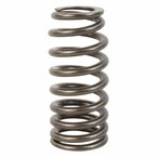 Engine Valve Spring Main Image