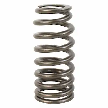 Engine Valve Spring