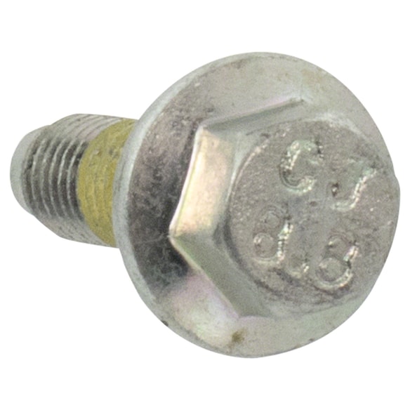 419190.jpg