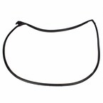 Door Seal Weatherstrip - Right, Front Main Image