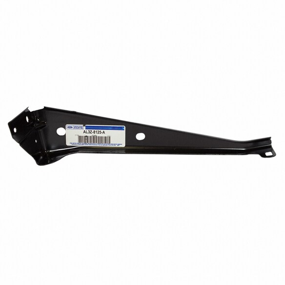 Grille Bracket Support - Left, Front (SVT) Main Image