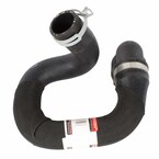Radiator Coolant Hose - Lower (EcoBoost) Main Image