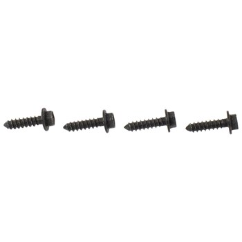 Windshield Molding Bolt Hex Head And Washer - 4 X 15.5MM