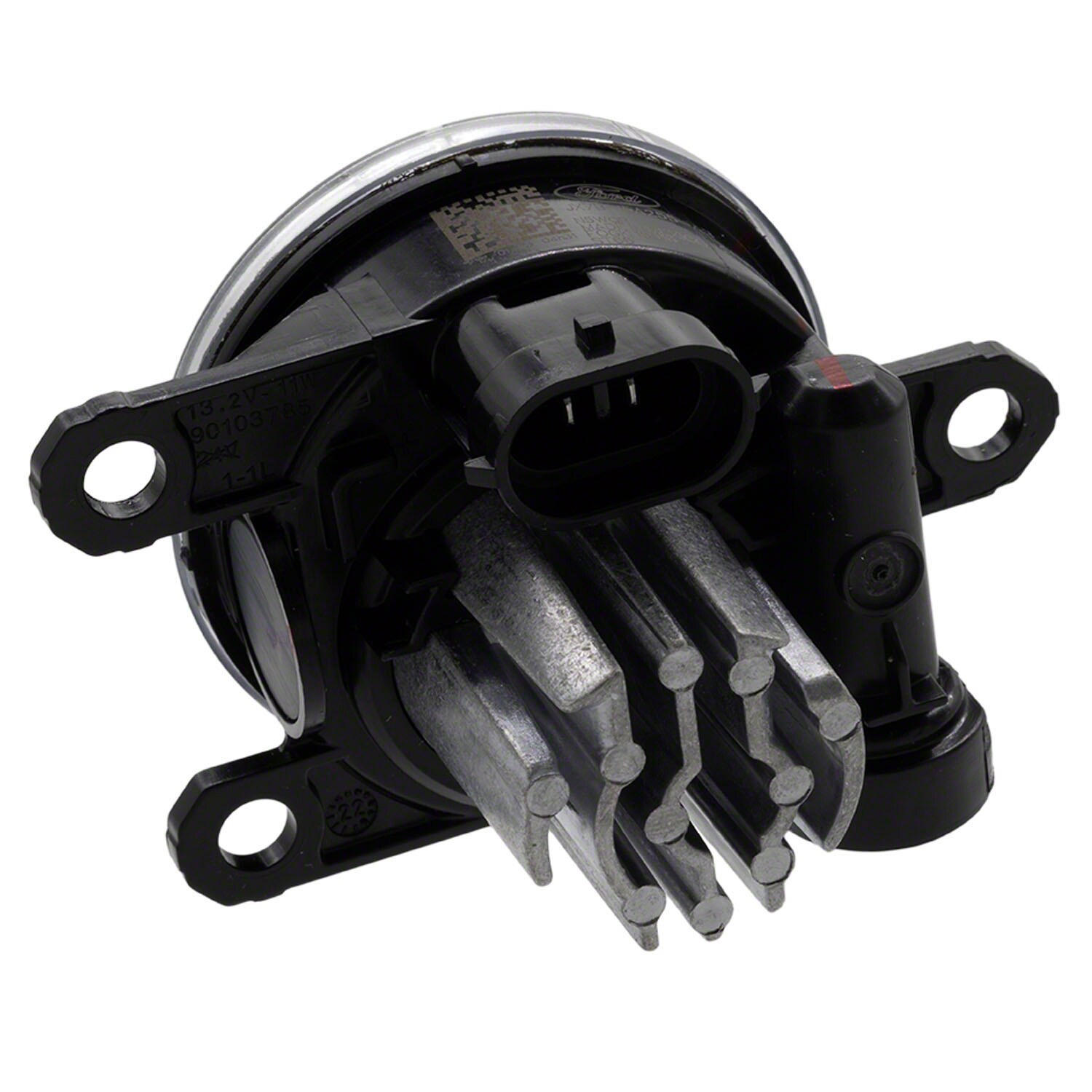 トイプー トイプードル♂2512D1159 - YouTube