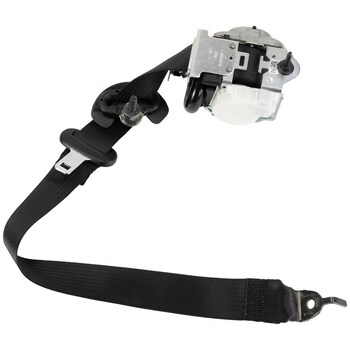Seat Belt - Right, Rear