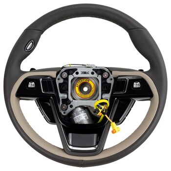 Sandstone Wheel Steering (Active Steering)