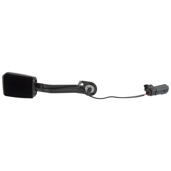 Seat Belt Receptacle - Rear, Center