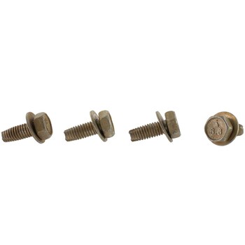 Horn Mount Bolt Hex Head And Washer - M6 X 11MM