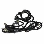 Wiring Lamps - Rear 5.0L Main Image