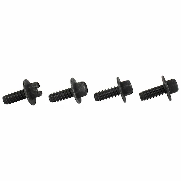 License Plate Bracket Hardware Kit Screw Main Image