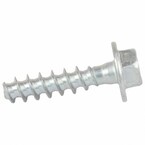 Screw - M6 x 30MM Main Image