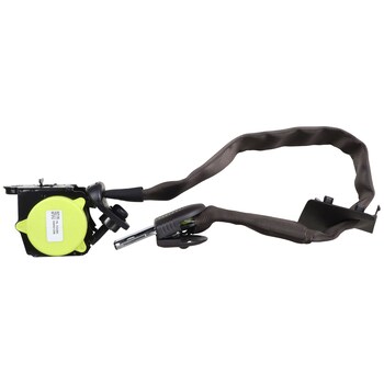 Seat Belt Lap and Shoulder - Right, Rear