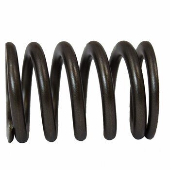 Engine Valve Spring - 4.0L.