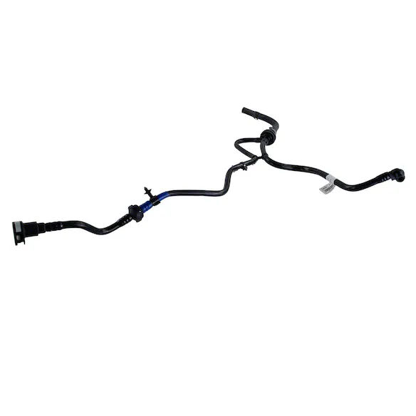 545211.jpg