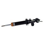 Suspension Strut - Front Main Image