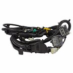 Wiring LAMPS - Rear Main Image