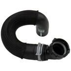 Radiator Coolant Hose - Lower Main Image