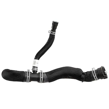 Radiator Coolant Hose - Upper 5.0L (AT)