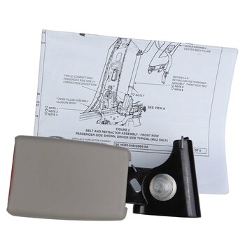 Seat Belt Receptacle - Left, Rear