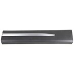 Exterior Door molding - Left (Premier, Reserve) Main Image