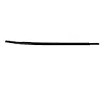 Door Belt Molding Weatherstrip - Right, Rear Main Image