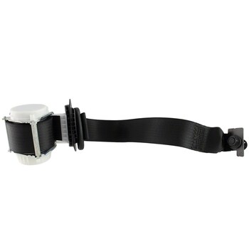 Seat Belt - Right, Rear