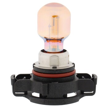 Headlight Bulb And Socket - Front