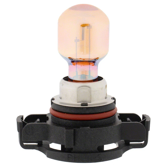 Headlight Bulb And Socket - Front Main Image