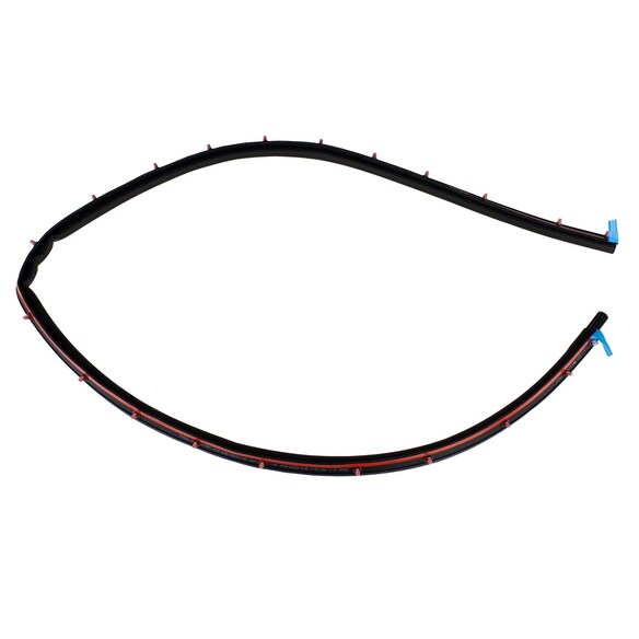 Door Seal Weatherstrip - Right, Rear Main Image