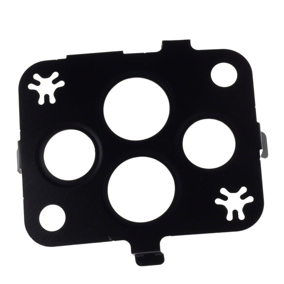 Exhaust Gas Recirculation (EGR) Valve Gasket Main Image