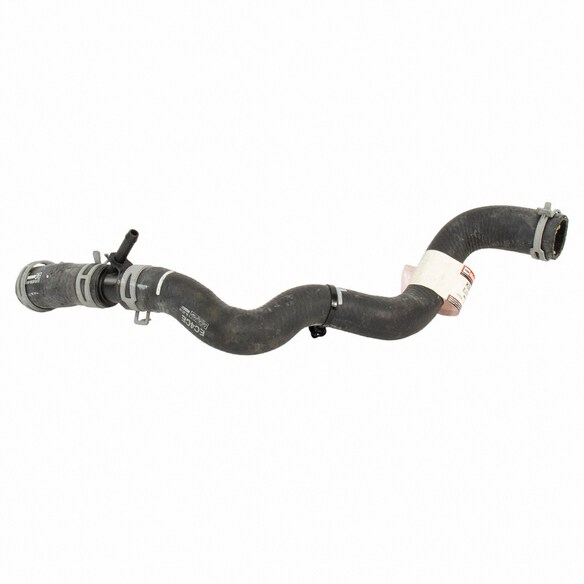 Radiator Coolant Hose - Upper Main Image