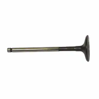 Engine Exhaust Valve