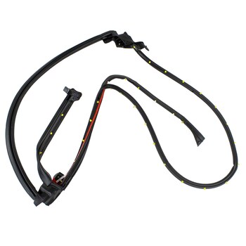 Door Seal Weatherstrip - Right, Rear