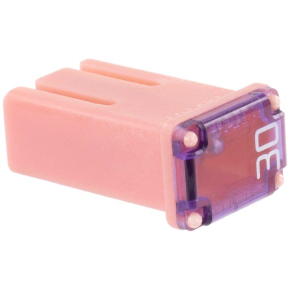 450231.jpg