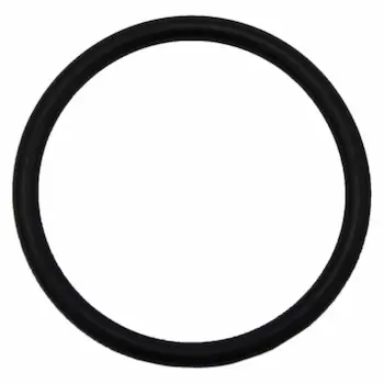 Sealing Ring Engine Crankcase Vent Valve Seal - 6.7L