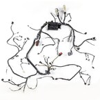 Wiring - 2.0L (AT) Main Image