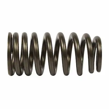 Engine Valve Spring - 5.0L