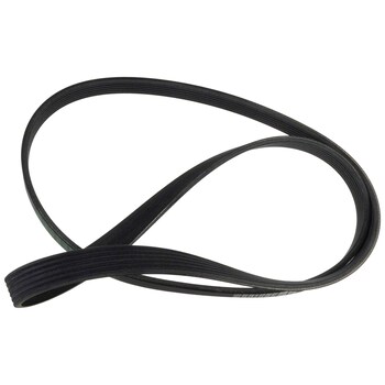 Serpentine Belt - 5.0L