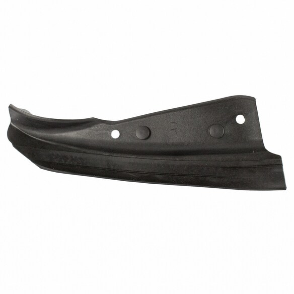 Door Seal Weatherstrip - Right, Front Main Image