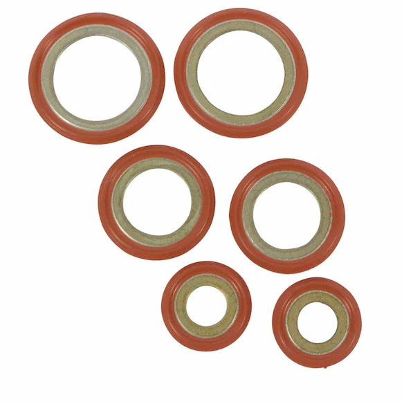 Air Conditioning (A/C) Line O Ring Kit Main Image