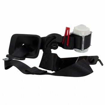 Seat Belt Lap and Shoulder - Right, Rear